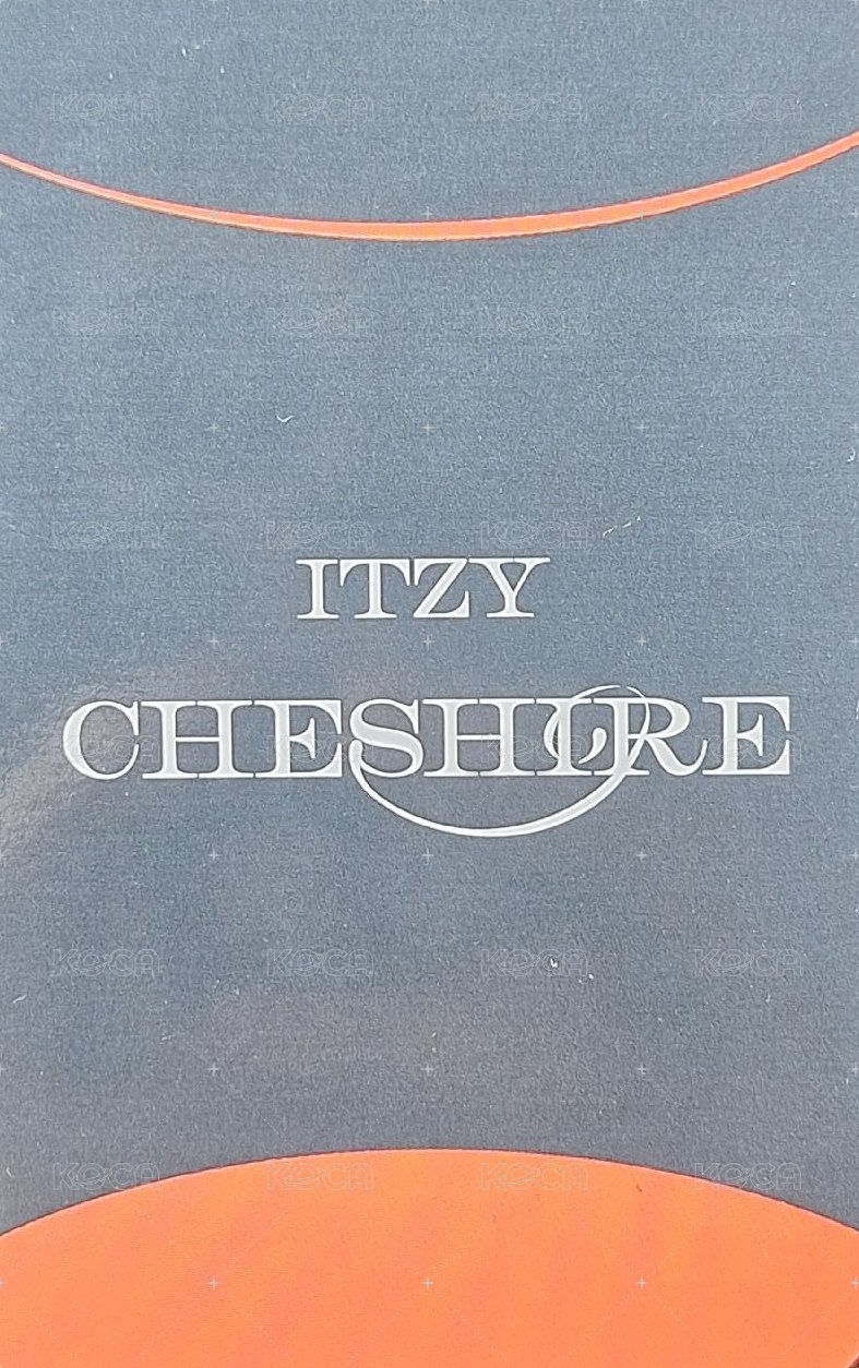 CHESHIRE sw 4.0 幸運卡  背面