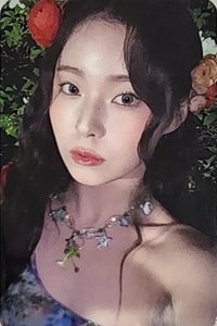 仲夏夜 阿拉丁 預售 特典卡 