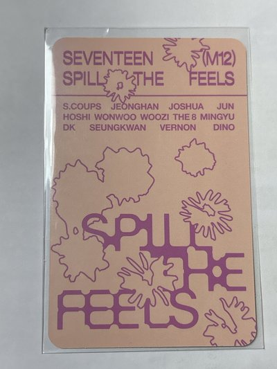 碩 迷十二 專輯隨機卡