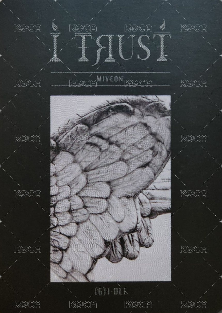 I TRUST 專輯卡  背面