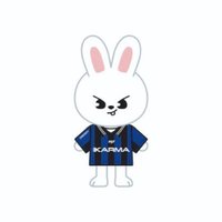 KARMA 娃娃玩偶 電子專 Skzoo ver.