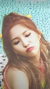 DUMDi DUMDi 專輯卡 dddd 專輯卡 小娟