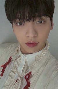 改版專 FOE 專輯卡 