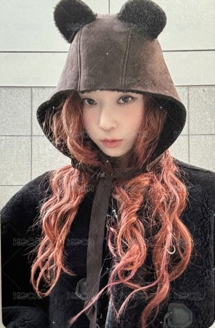 Drama 華納 特典卡 小熊冬 正面