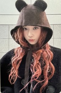 Drama 華納 特典卡 小熊冬