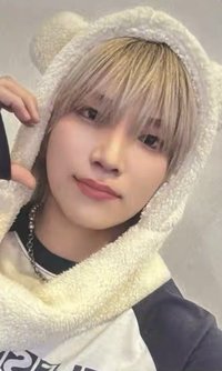 雪明 環球 特典卡 動物卡