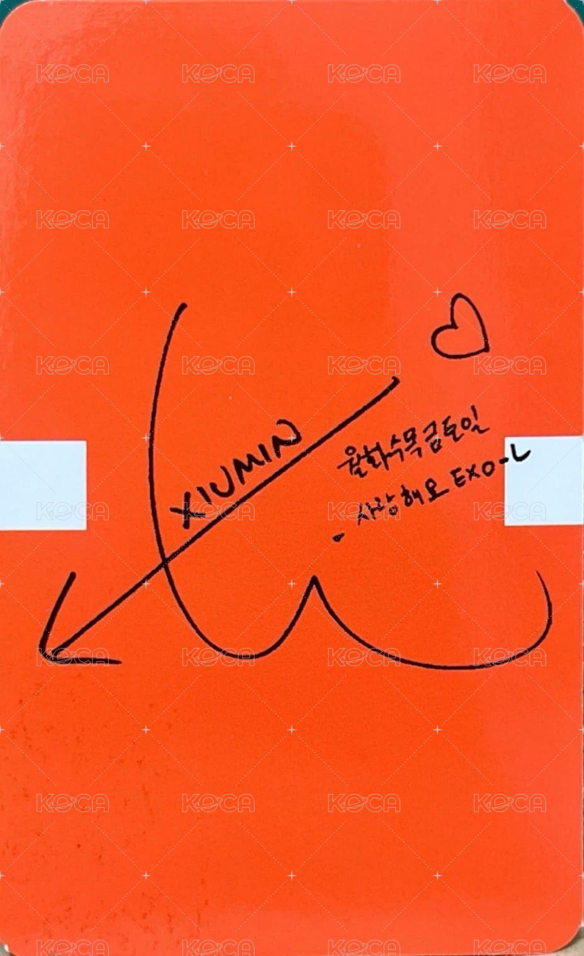 Blooming Days 專輯卡  背面