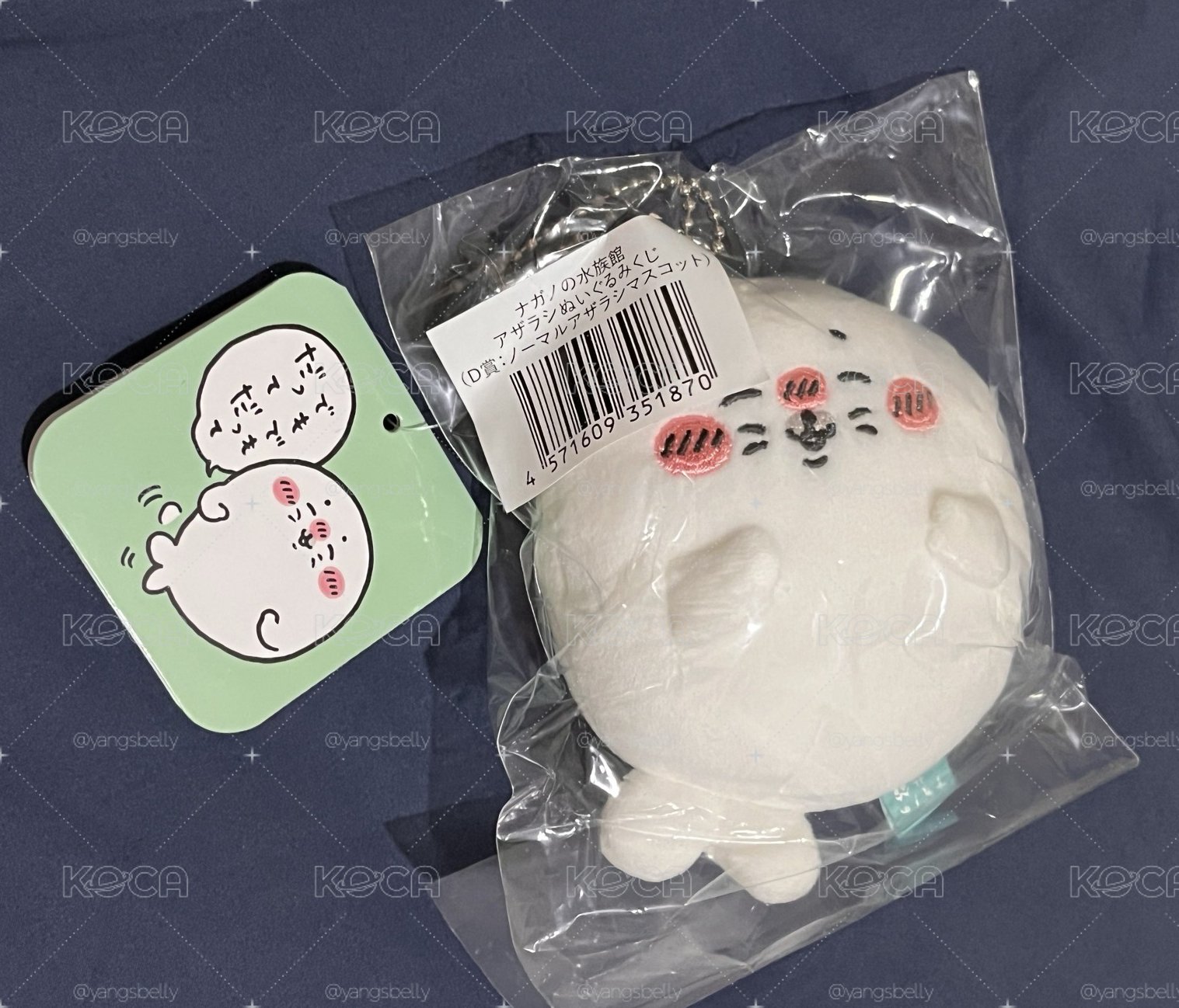 長野熊 小海豹 吊娃