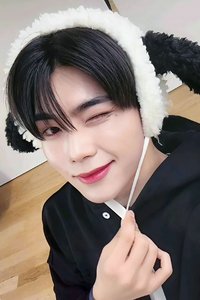 迷五 ms 幸運卡 小狗 ver.