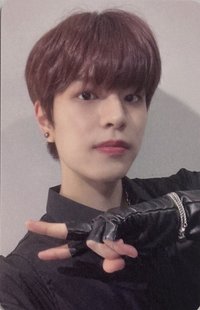 DICON D'FESTA 雜誌卡 