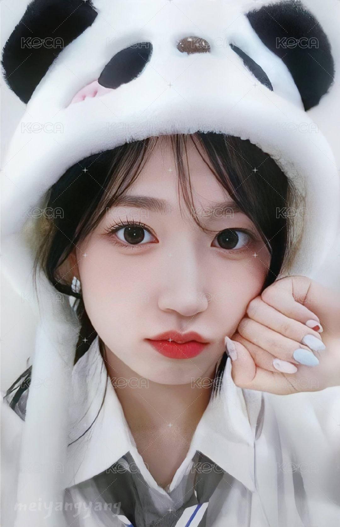 expérgo ms 2.0 幸運卡 熊貓 正面