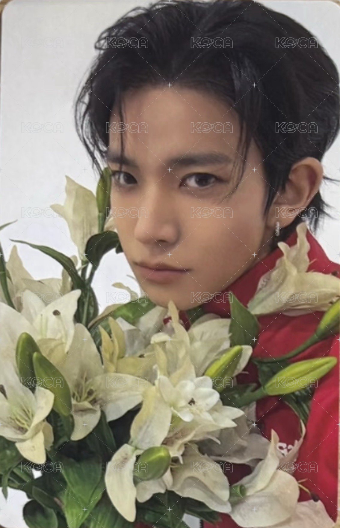 宵 -YOI- 日咖 特典卡  正面