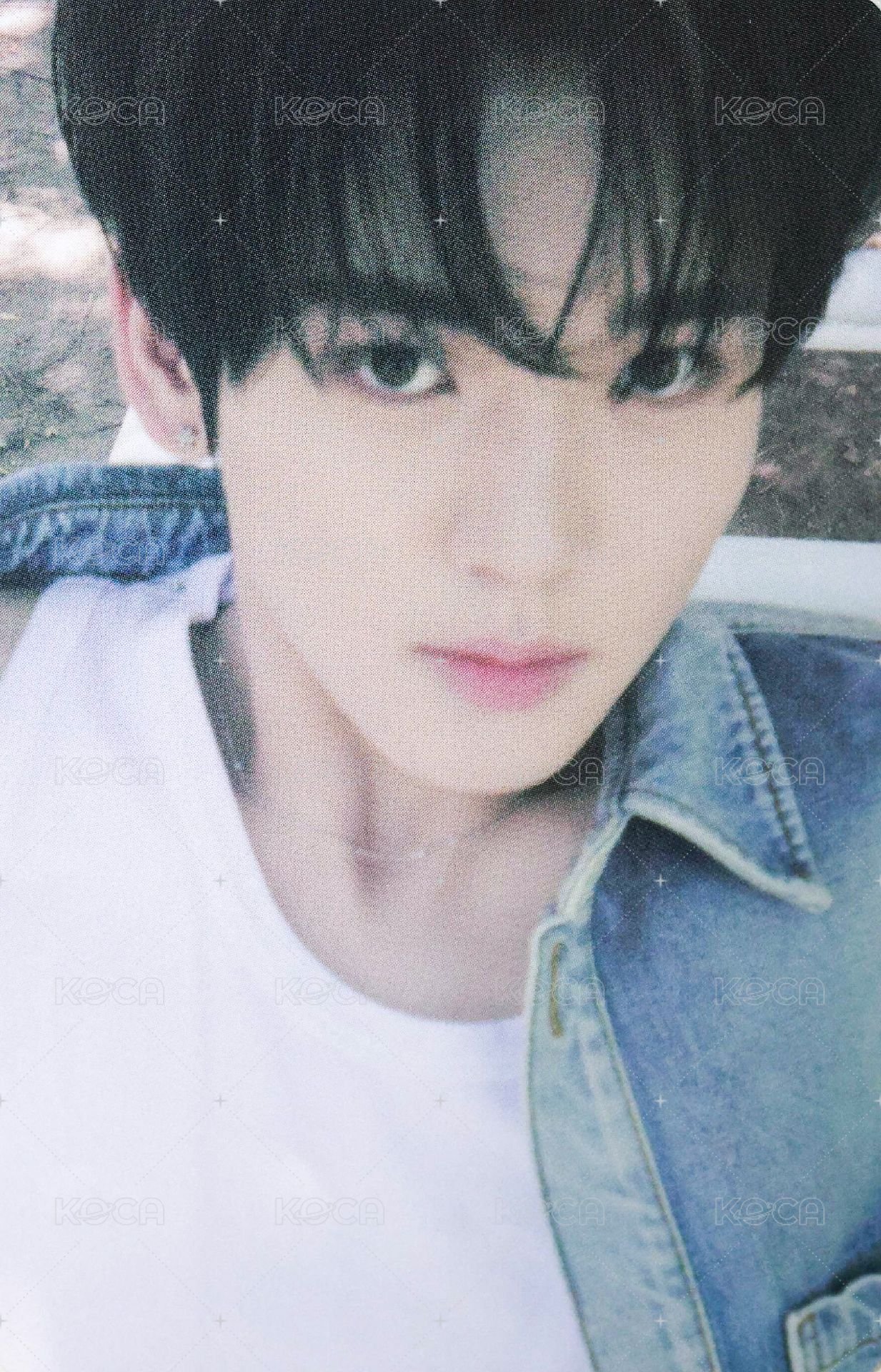 正規一 專輯卡 SCENTS 固卡 正面