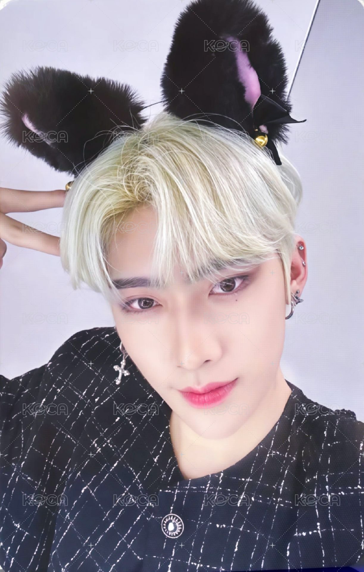 迷一 ms 1.0 特典卡 貓耳 ver. 正面