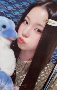 expérgo ms 幸運卡 海豚