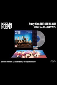 KARMA 黑膠唱片 灰版