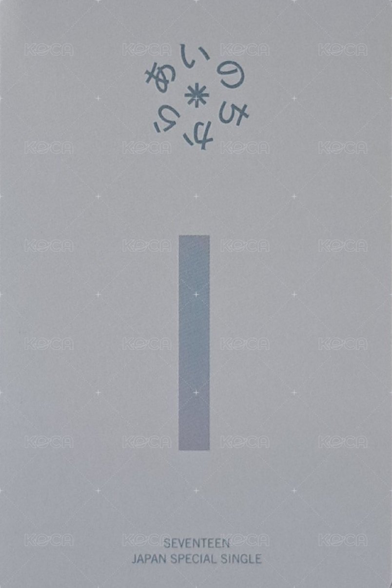 POL 專輯卡 通常ver. 背面