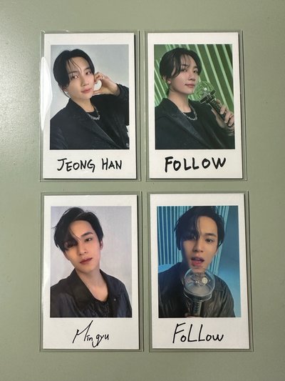 SEVENTEEN FOLLOW TO JAPAN 淨漢 珉奎  卡包 + 拍立得貼 一套
