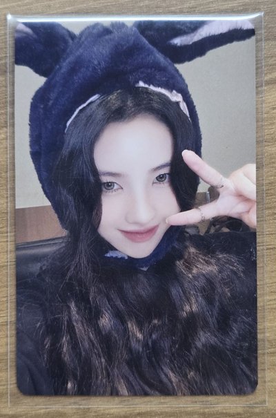 正規二 yzy 6.0 小毛驢一套