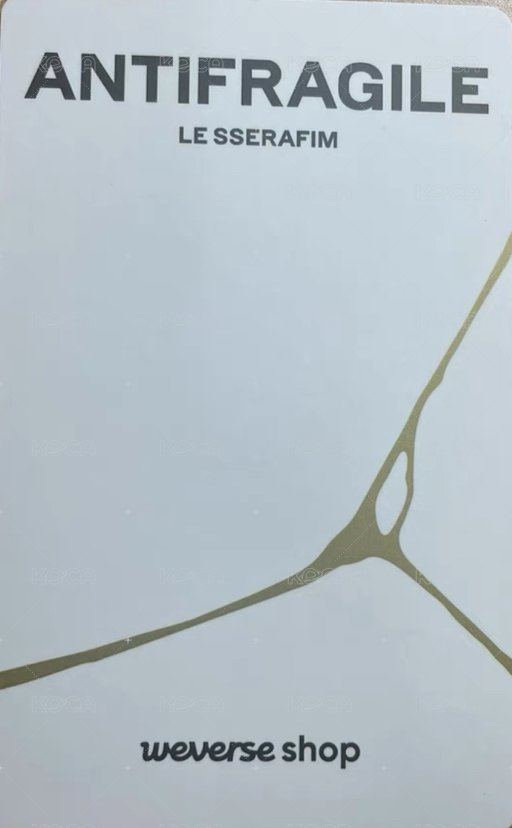 迷二 wvs PB預售 特典卡  背面