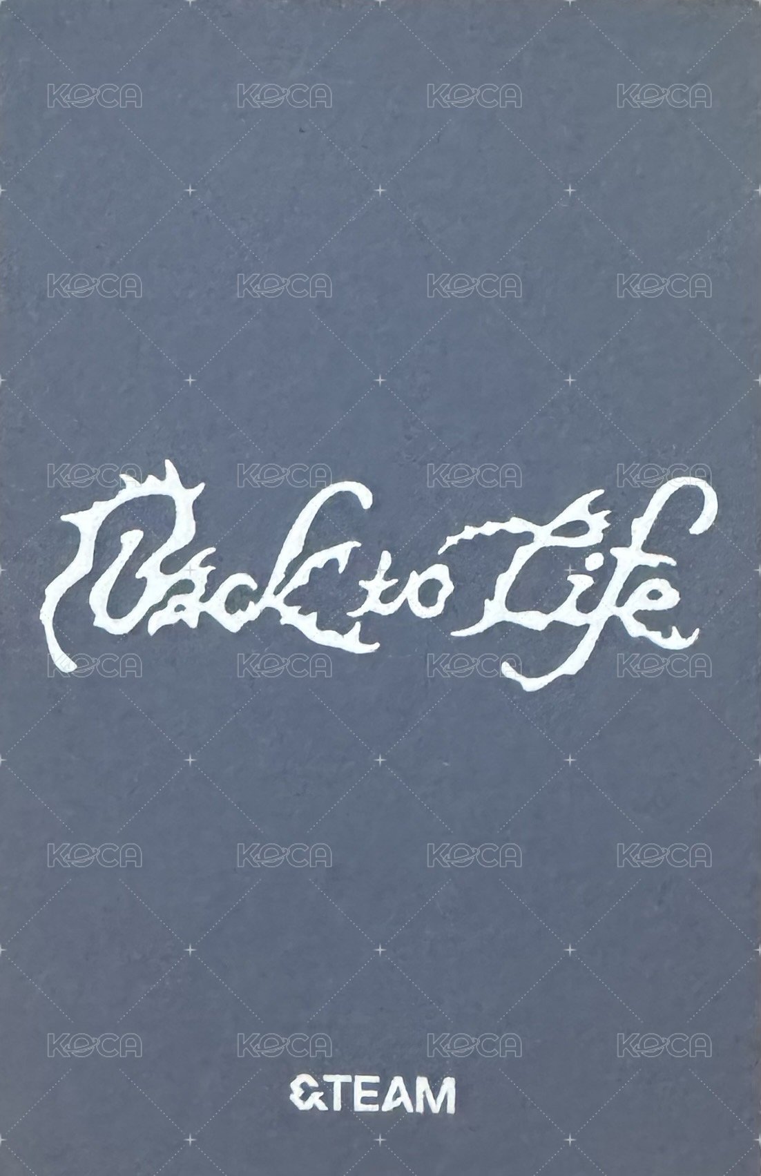 BTL 專輯卡 WVS Albums ver.拍立得 背面