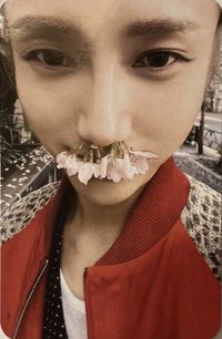 日迷一 專輯卡 