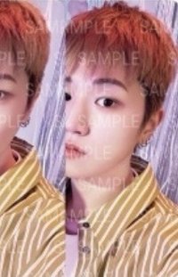 25生日 周邊卡 小卡組 固配