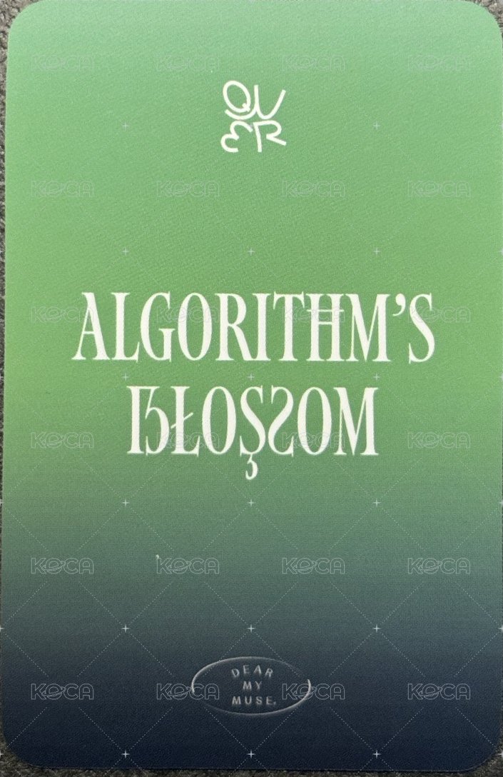 迷二 dmm 7.0 特典卡 探頭燕 背面