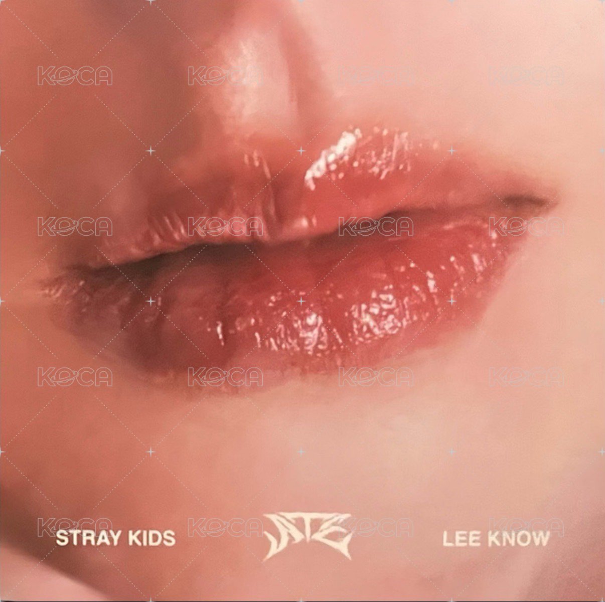 ATE 專輯卡 Accordion ver. 唇卡 正面