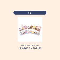 2025 SKZOO快閃店 貼紙 一番賞第一彈F賞