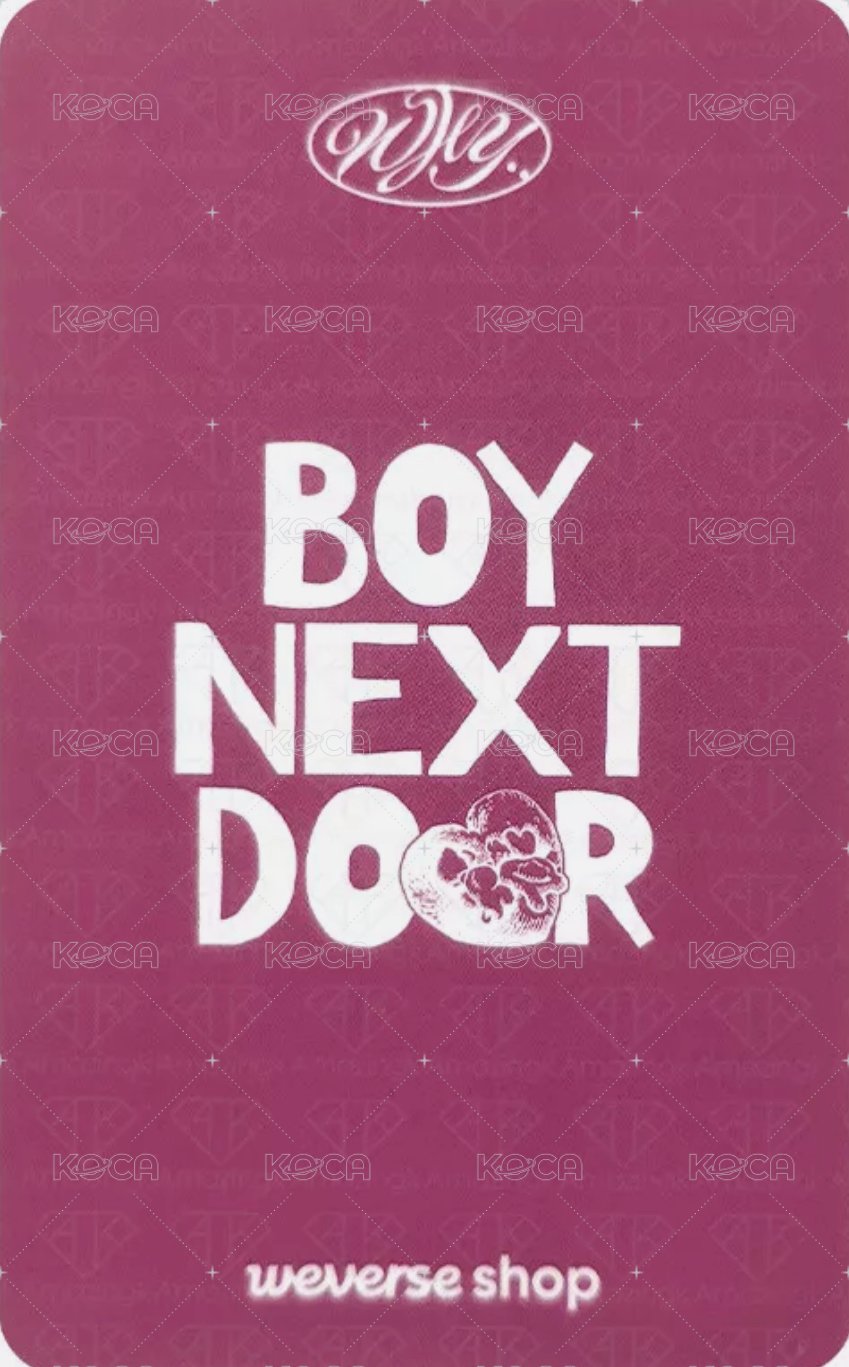 WHY.. wvs 特典卡 2 背面