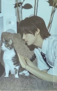 初次見面 專輯卡 初回限定A