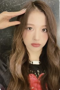 ENTWURF sw 預售 特典卡 