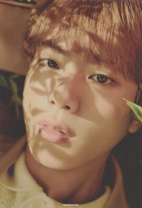 Hybe博物館 周邊卡 小卡組(9/14)