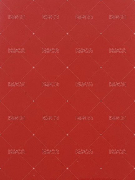 rosie 專輯卡 專卡 背面