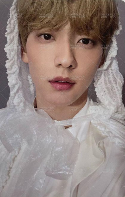 24’巡迴 演唱會 DVD / CD 卡 首爾安可 正面