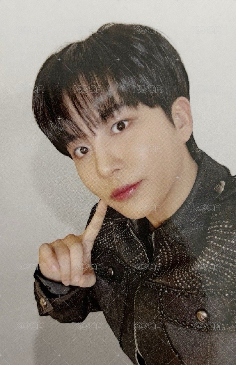 TTL 電影 電影卡 台灣第一周特典 正面