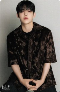 22’D社 周邊卡 22’DICON｜卡冊固卡