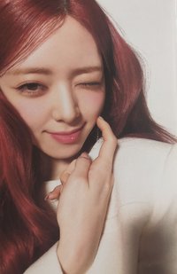 Algorhythm 專輯卡 MIDZY盤