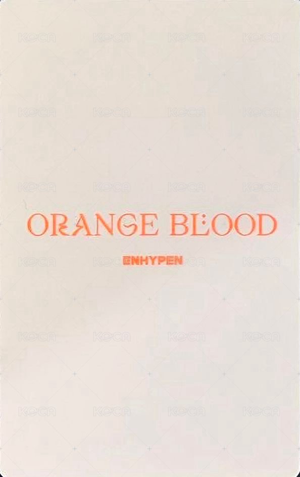 迷五 專輯卡 KSANA ver. 背面