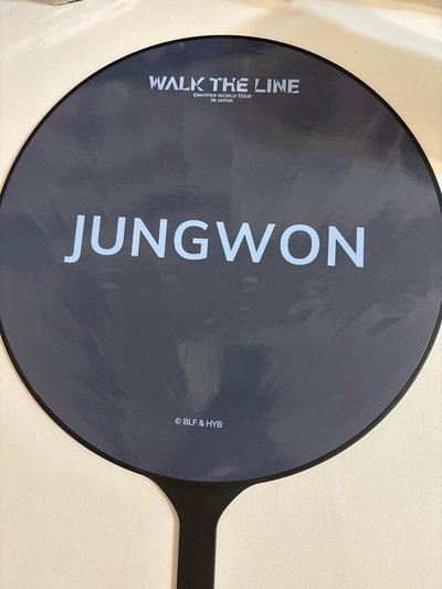 梁禎元 日巡王扇