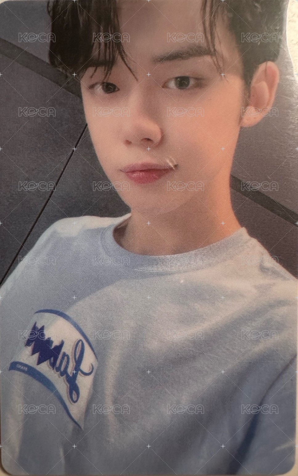 改版專 FOE wvs 博物館1.0 入場卡 / 場限卡  正面