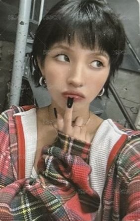 2025日巡 隨機卡  正面