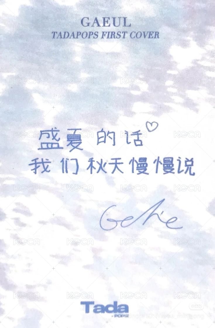 TadaPOPs 雜誌卡  背面