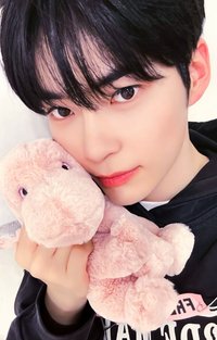 迷二 ms 幸運卡 龍龍 ver.