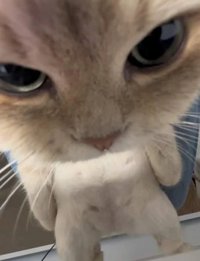 劉知珉老婆
