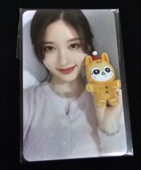 聖誕秋