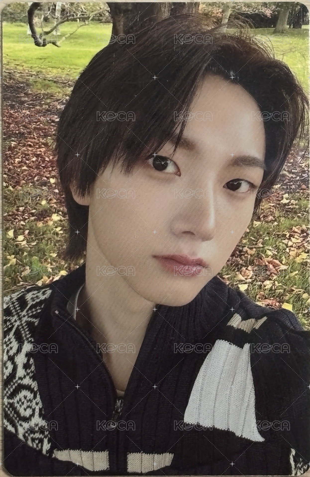 HOW? 專輯卡 Wind Ver. 正面