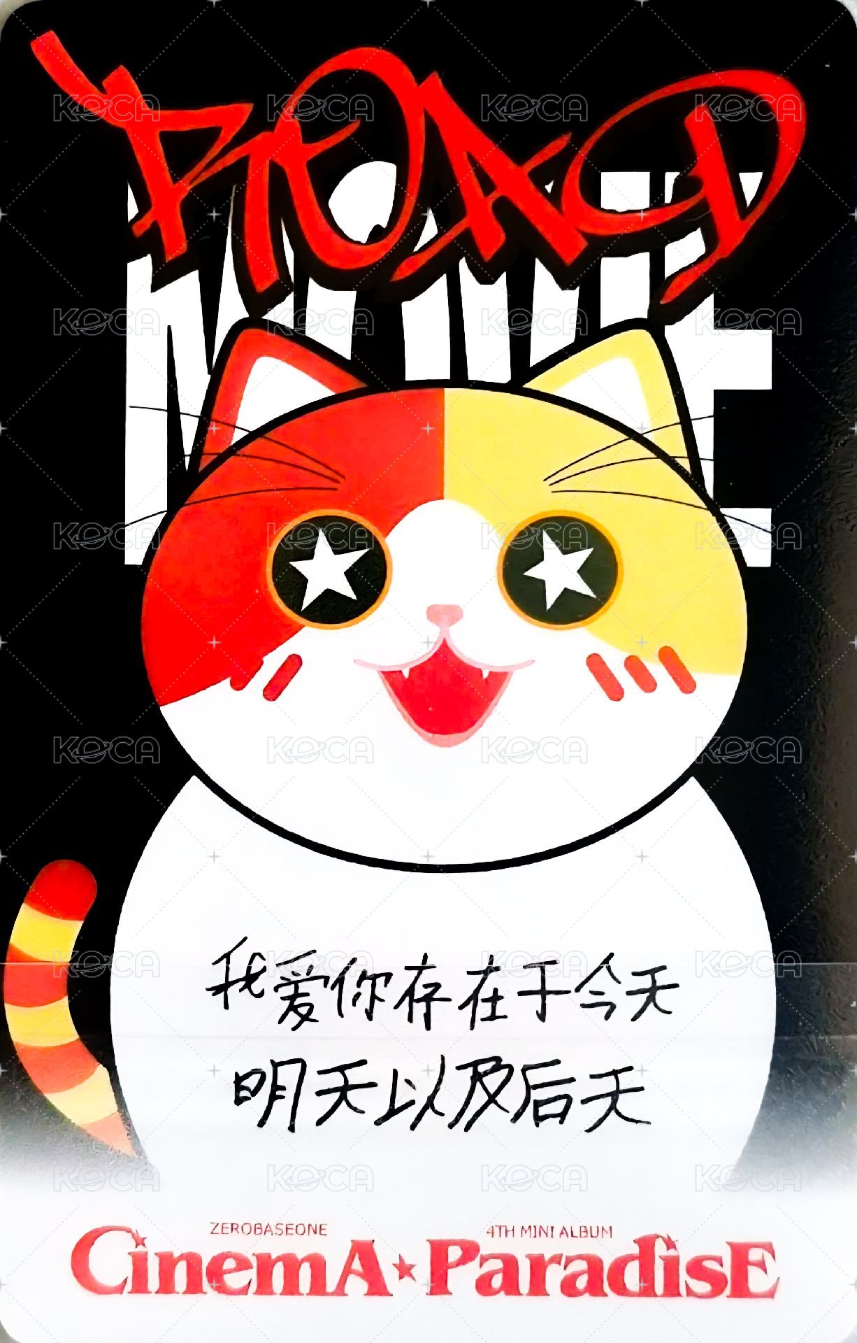 迷四 yzy 簽售卡 胖貓 ver. 背面