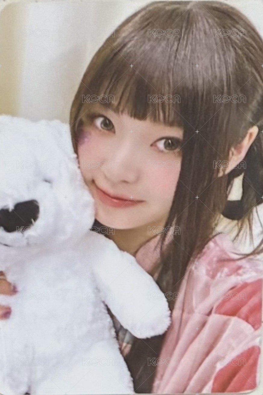 expérgo wm 幸運卡 抱熊圭 正面